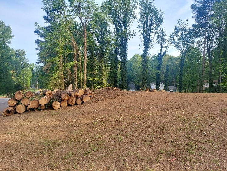 강스 트리 서비스 제공