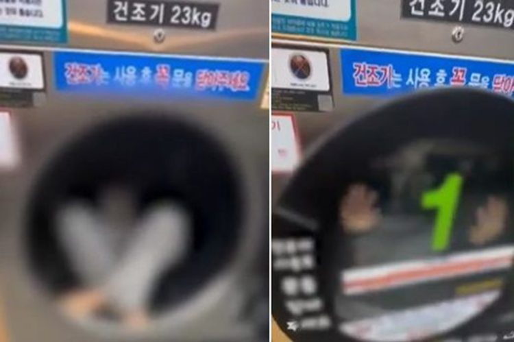초등학생으로 추정되는 남자 아이가 무인 빨래방 내 건조기에 들어가는 영상이 공개돼 논란이다. 사진 인스타그램 캡처