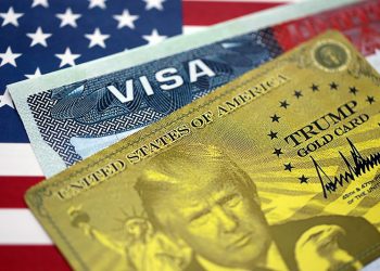 이미지 사진 [출처 셔터스톡]