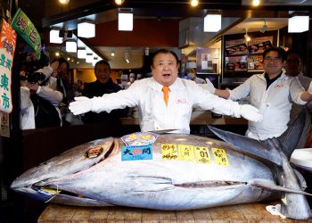 기무라 기요시 스시 체인 ‘스시 잔마이’ 사장이 지난 1월 5일 일본 도쿄 ‘스시 잔마이’ 본점에서 5억1030만엔에 낙찰받은 243㎏ 참다랑어 앞에서 포즈를 취하고 있다. EPA=연합뉴스