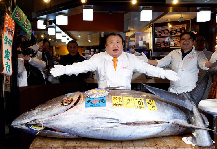 기무라 기요시 스시 체인 ‘스시 잔마이’ 사장이 지난 1월 5일 일본 도쿄 ‘스시 잔마이’ 본점에서 5억1030만엔에 낙찰받은 243㎏ 참다랑어 앞에서 포즈를 취하고 있다. EPA=연합뉴스