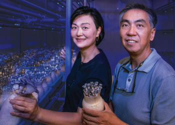 그린 박스 머쉬룸 농장을 운영하는 문정환·문은주 씨 부부.