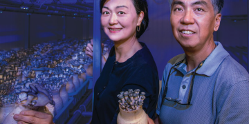 그린 박스 머쉬룸 농장을 운영하는 문정환·문은주 씨 부부.