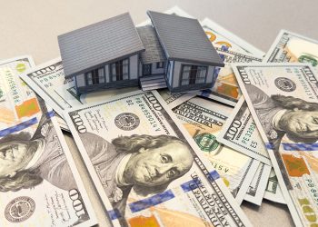 이미지 사진[출처 셔터스톡[