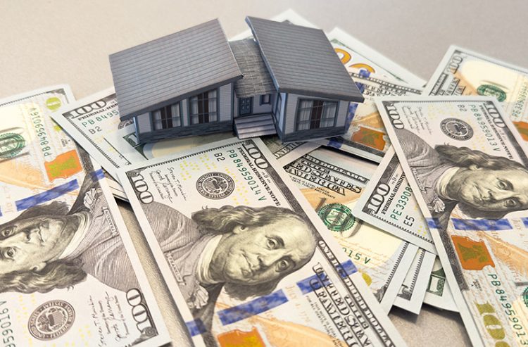 이미지 사진[출처 셔터스톡[