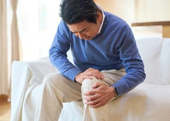 이미지 사진 [출처 셔터스톡]