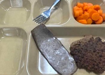 미군 장병에게 제공된 식사로, 다진 고기 패티와 정체를 알 수 없는 고기 한 조각, 당근 몇 조각만 담겨 있다. 사진 엑스(X) 캡처