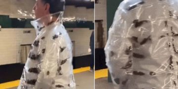 한 남성이 뉴욕 지하철에서 살아 있는 바퀴벌레를 넣은 투명 패딩 재킷을 입고 있는 영상이 퍼졌다. 사진 프리프레스저널 홈페이지·엑스 캡처