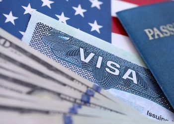 이미지 사진 [출처 셔터스톡]