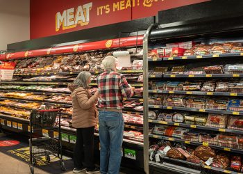 이미지 사진 [출처 셔터스톡]