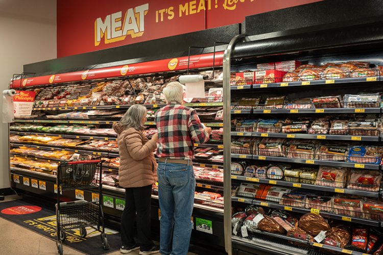 이미지 사진 [출처 셔터스톡]