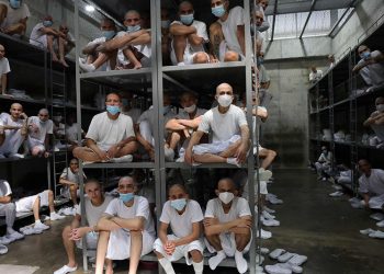 지난 1월29일 엘살바도르 세코트(CECOT·테러범 수용 센터) 수감자들의 모습. AFP=연합뉴스