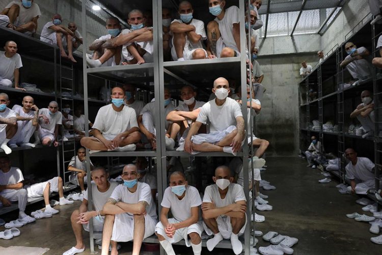 지난 1월29일 엘살바도르 세코트(CECOT·테러범 수용 센터) 수감자들의 모습. AFP=연합뉴스