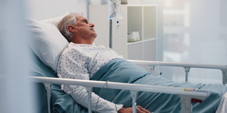 이미지 사진 [출처 셔터스톡]