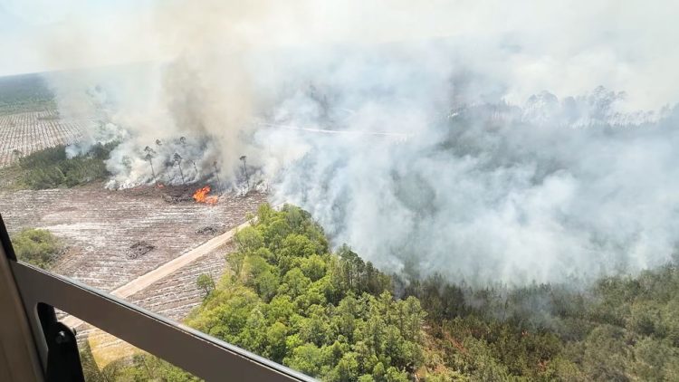 지난 24일 촬영된 브랜틀리 카운티 산불 모습. [주지사실 제공]