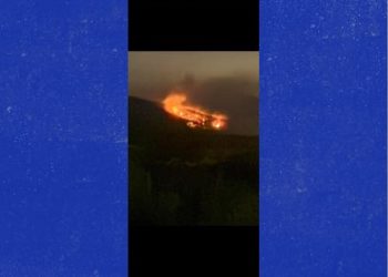 화이트 카운티 버저드 마운틴 산불 [주민 제공]