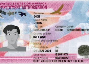 OPT 샘플 카드.                                                                          [연방 노동부]