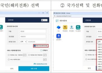 재외국민 간편인증 화면. [동포청 제공]