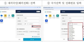 재외국민 간편인증 화면. [동포청 제공]