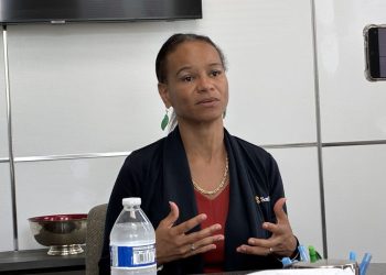 조지아주 상원 제7선거구 보궐선거에 출마한 애드리엔 화이트 민주당 후보가 둘루스 한 로펌 사무실에서 한인 미디어를 만나 투표를 독려하고 있다. 장채원 기자