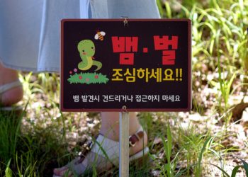 벌과 뱀 조심을 알리는 표지판. 프리랜서 김성태